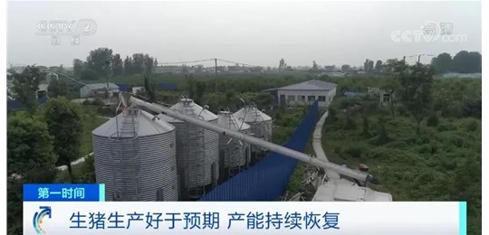 央視：1頭豬賺2200元！生豬產(chǎn)能恢復(fù)好于預(yù)期，豬價(jià)超前期高點(diǎn)將不再可能？